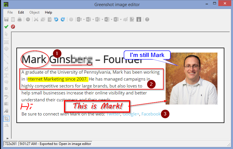 Mark Ginsberg Greenshot Screenshot Digital Marketing
